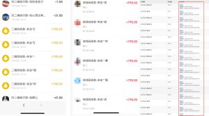 图片[11]-你还在到处找项目？还在当韭菜？我靠卖项目一个月赚5万，曾经我也是个失败者。-米多多云网创