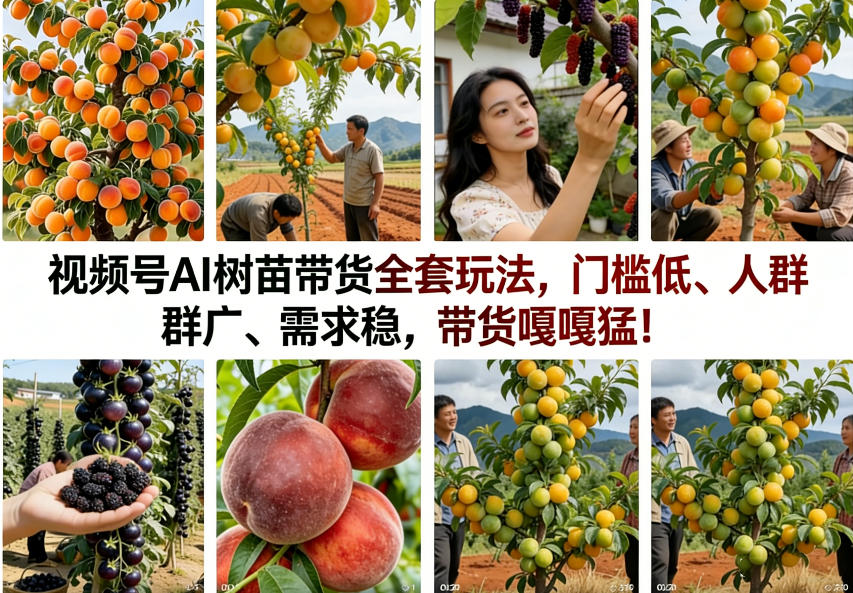 视频号树苗带货风口|AI 全自动玩法,门槛低不用囤货,人群广刚需稳定,新手也能猛出单-米多多云网创